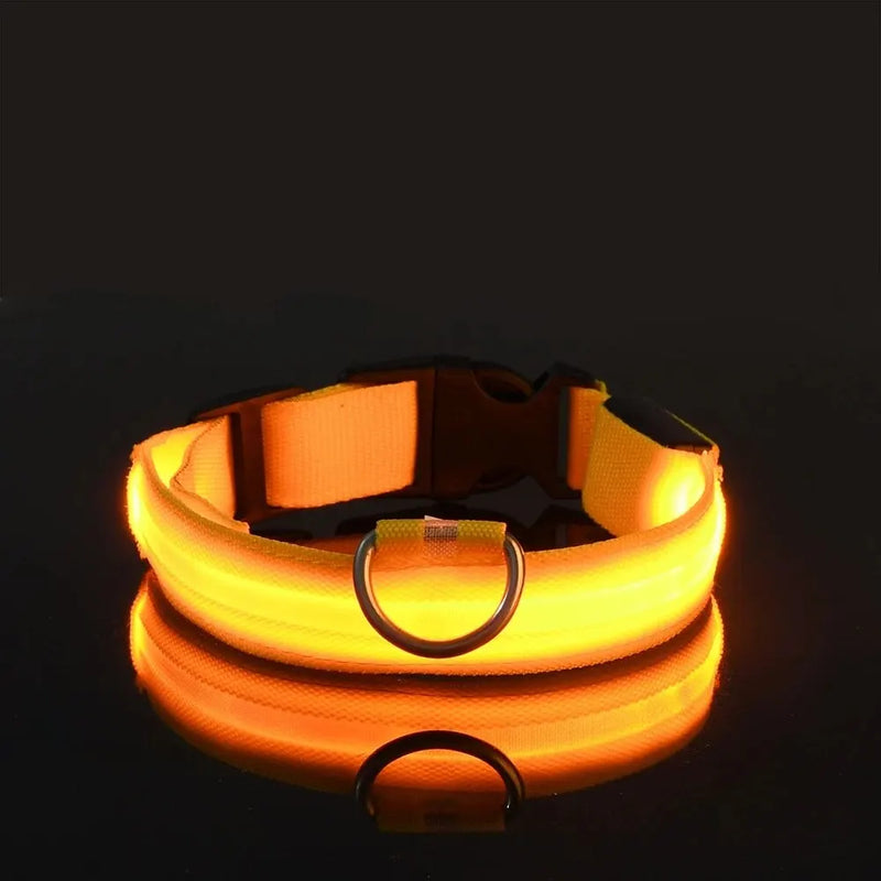 LED Glow Safety Dog Leash & Collar – Night Walking Visibility