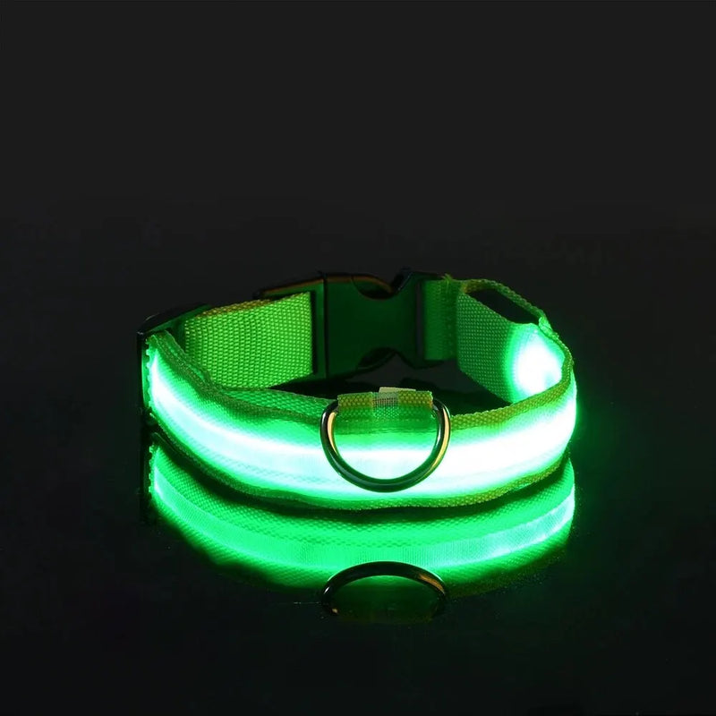 LED Glow Safety Dog Leash & Collar – Night Walking Visibility