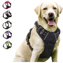 RoyalNo-Pull Control Harness – Front Clip & Reflective Design