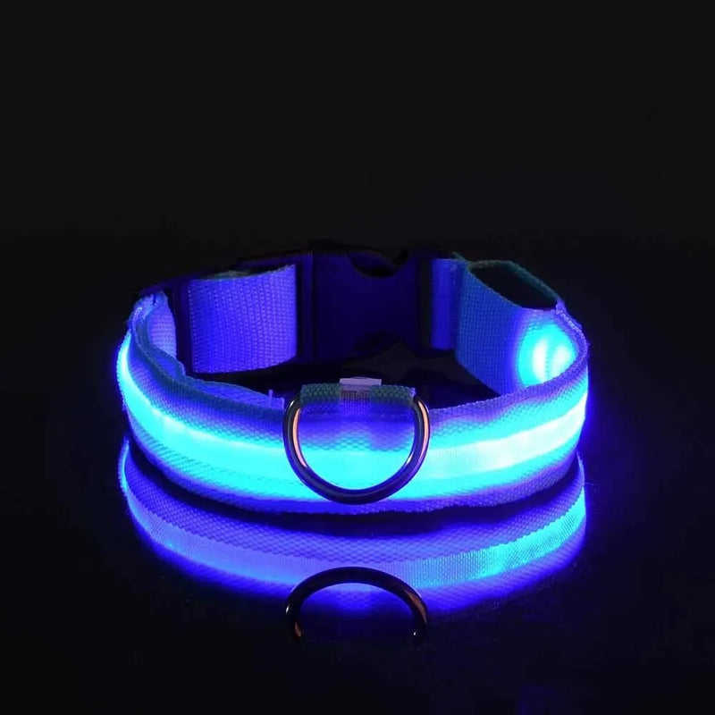 LED Glow Safety Dog Leash & Collar – Night Walking Visibility
