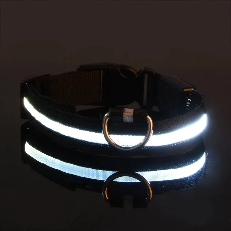 LED Glow Safety Dog Leash & Collar – Night Walking Visibility