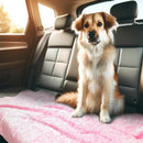 RoyalPaws Ultra-Soft Dog Blanket – Washable & Cozy Comfort Pad