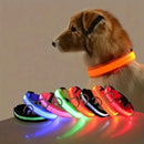 LED Glow Safety Dog Leash & Collar – Night Walking Visibility