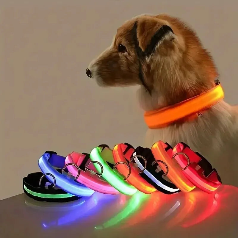 LED Glow Safety Dog Leash & Collar – Night Walking Visibility